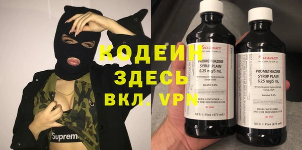 гашик Козловка