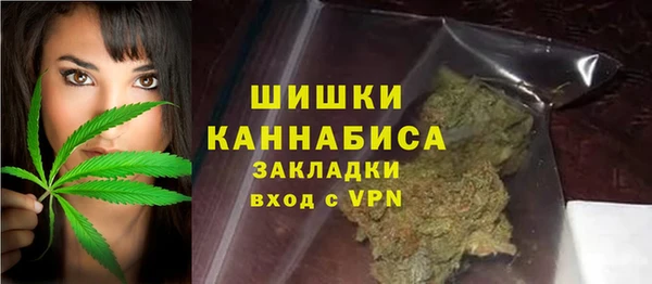 гашик Козловка