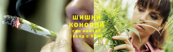 гашик Козловка