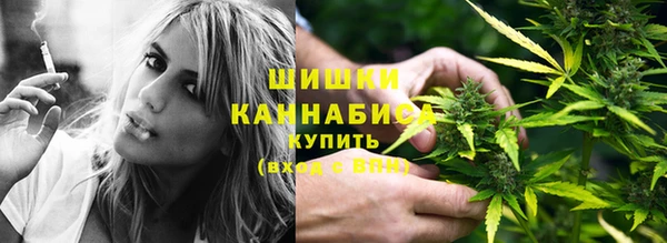 гашик Козловка