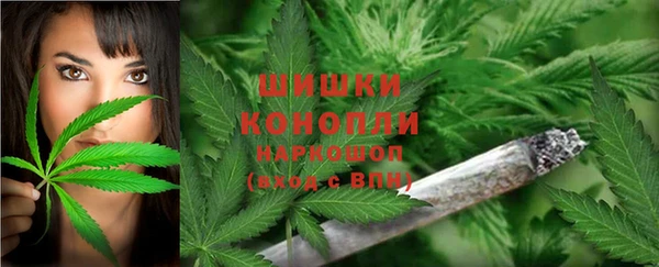 гашик Козловка