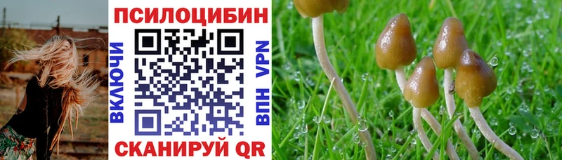 Купить  Апатиты  Галлюциногенные грибы GOLDEN TEACHER 